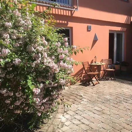 Moderne Grosszuegige Souterrainwohnung Zarrentin Gallin Schaalsee Natur Wald Wasser * Gallin (Ludwigslust-Parchim)